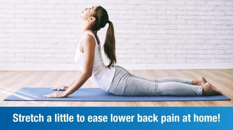 Low Back Stretches Orlando: Things to Consider Before Choosing a Physical Therapist
