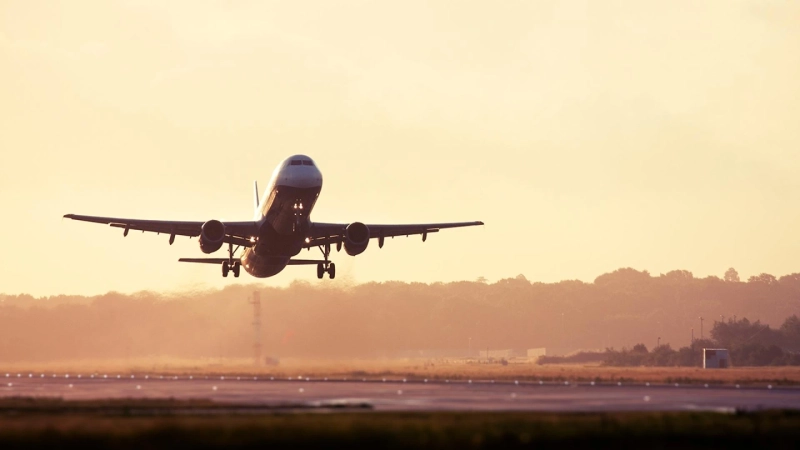 Your Complete Guide to the Turkish Airlines JFK Terminal Experience