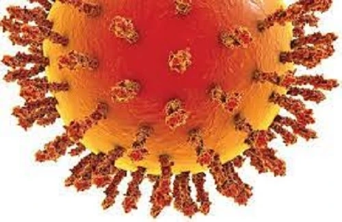 India NIPAH Virus Diagnostics Market to Establish Growth with Demand for Breathable Air Until 2027