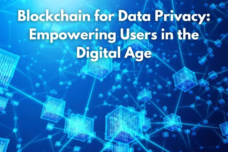 Blockchain for Data Privacy: Empowering Users in the Digital Age