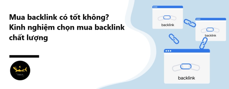 Cách lựa chọn nơi mua backlink tốt, chất lượng