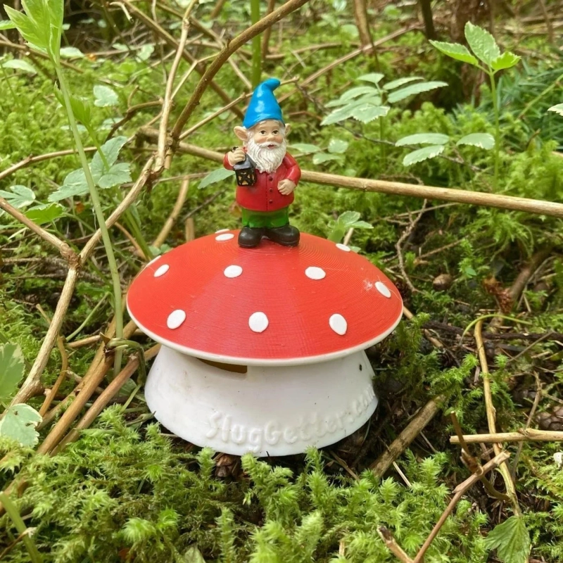 Everything You Need to Know About Slug Traps and Placement