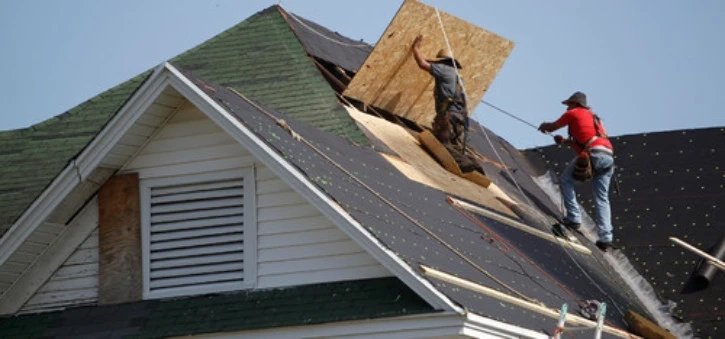 Different Types Of Shingle Roofs – Which One Will You Choose?