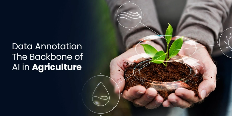 Data Annotation: The Backbone of AI in Agriculture