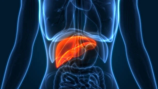 Here is all that you need to be aware of the GI procedure