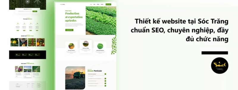 Thiết kế Website Tại Sóc Trăng Thu Hút Khách Hàng