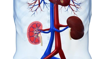 Nephrology and Urology Devices are getting better with continuous research and development activitie