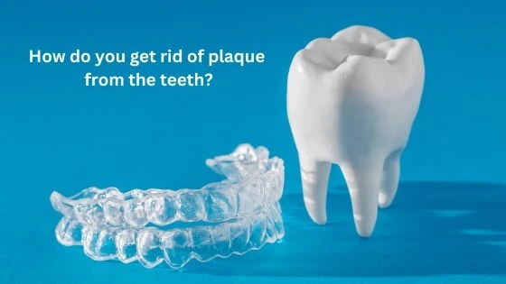 How do you get rid of plaque from the teeth?