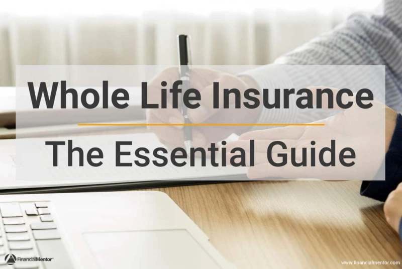 How to Use Whole Life Insurance to Create Wealth?
