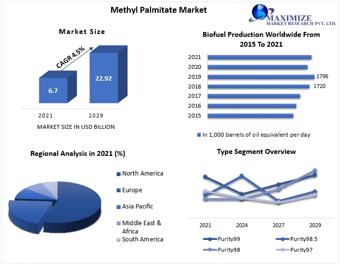 Methyl Palmitate Market:Global Industry Analysis and Forecast (2022-2029)