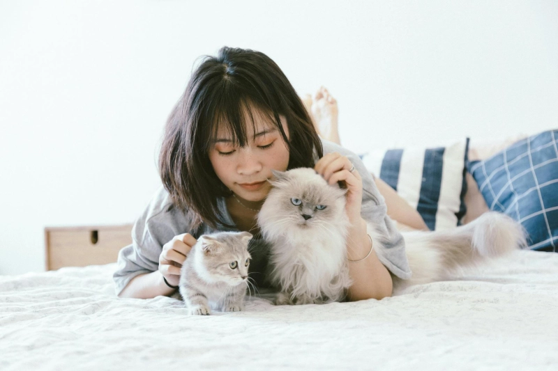 2025 Guide: How Emotional Support Animals Improve Your Life