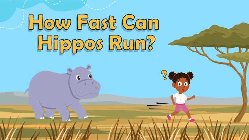 How Fast Can a Hippo Run? Understanding the Speed of Nature’s Heavyweight