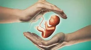 what is Infertility Treatment