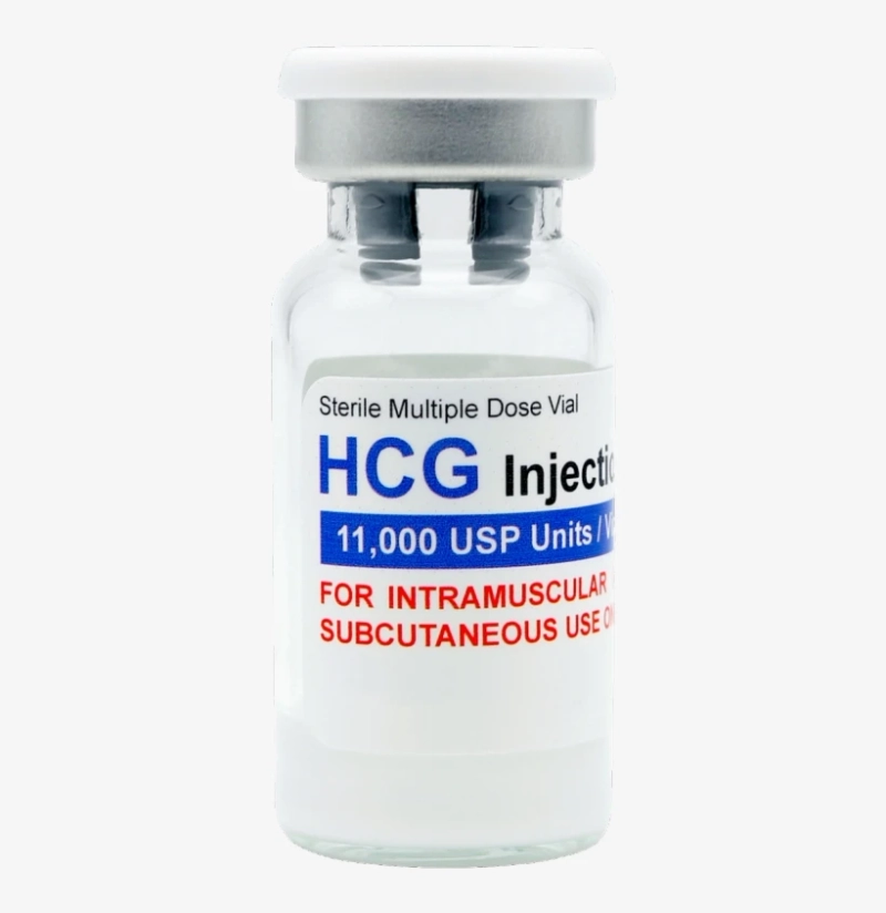 The Placenta Produces Human Chorionic Gonadotropin (HCG) During Pregnancy