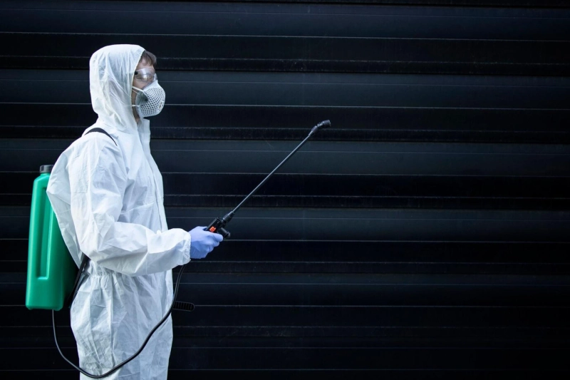 Efficient Cleaning Practices That Save Time and Money