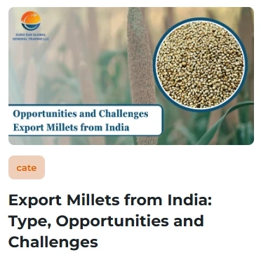 Top Green Millets Exporters: Opportunities and Challenges in Global Markets