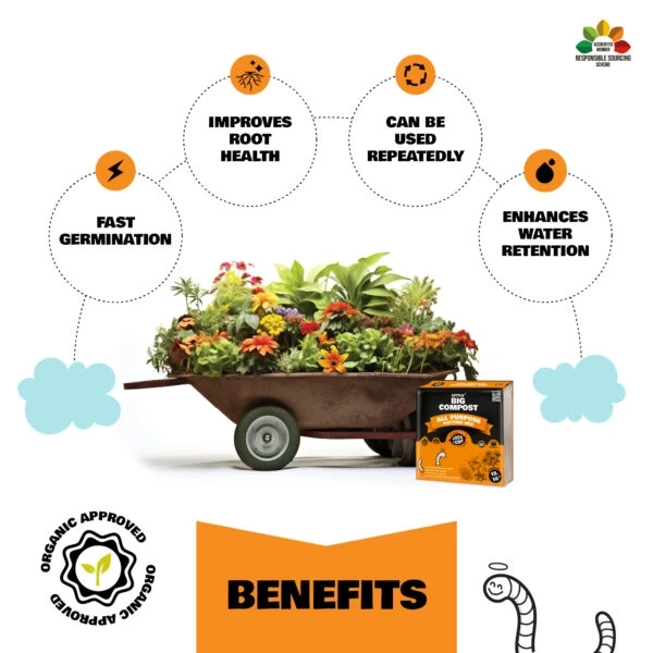 Peat Free Compost: A Greener Choice for Gardening