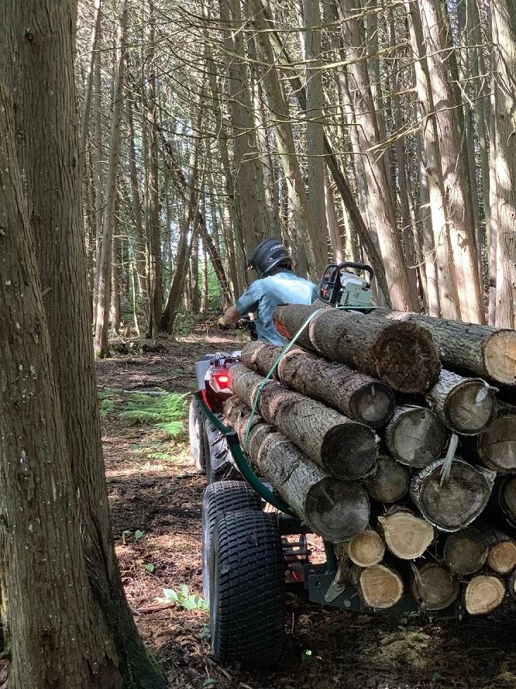 The 4 Forestry Products That Will Save You the Most Money