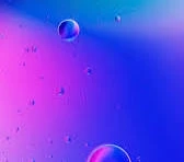 How digital solutions help grow