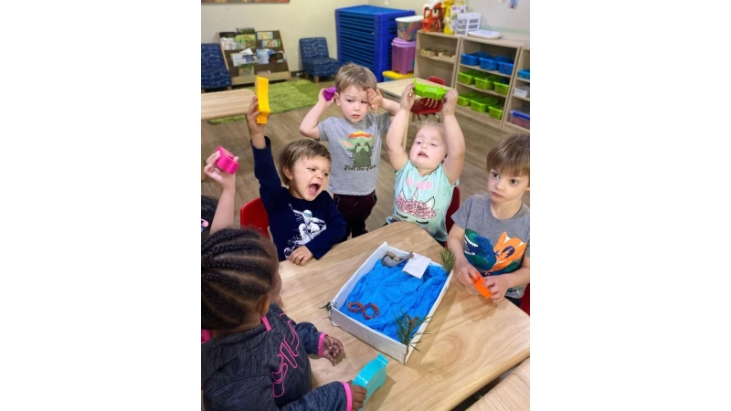 Curious About the Best Montessori Daycare in Calgary with Hands-On Learning?