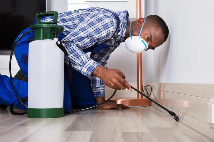 Having Rodent Problems in Your Home?