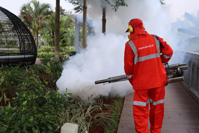 Top Reasons That Make the Services of the Best Pest Control Dublin Companies Special 