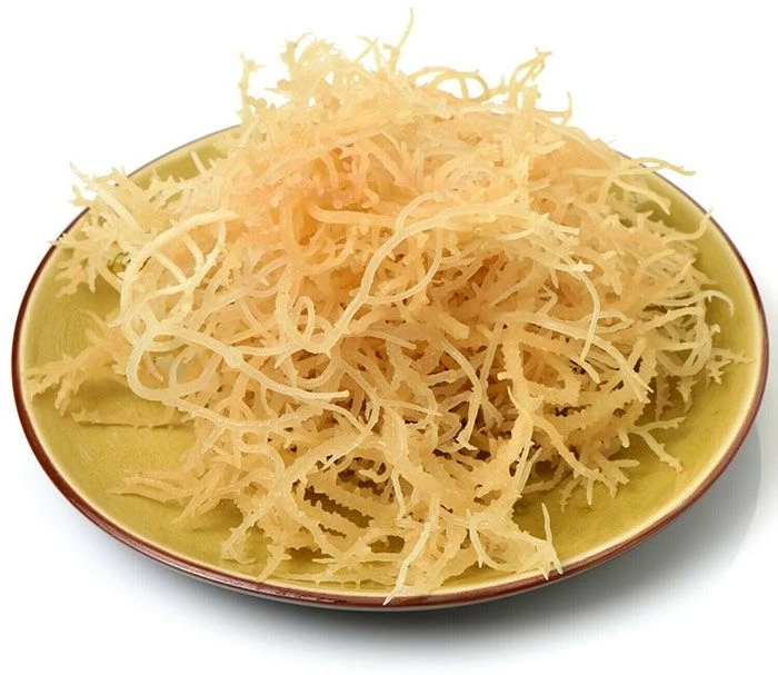 Sea Moss: Healing Our Body, Mind, and Health!