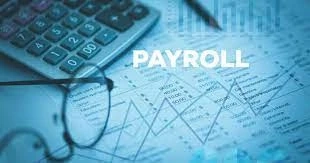 Streamline Your Business Operations with Vivid Accounting's Payroll Outsourcing Solutions