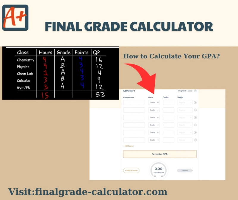 How To Calculate Percentages (With Formula and Examples)