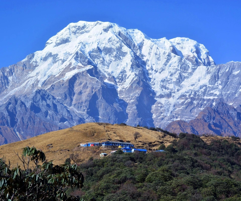  Mardi Himal Trek: A Journey to Hidden Himalayan Beauty