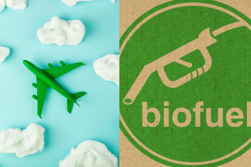 Unlocking the Skies: Navigating the Aviation Biofuels Market