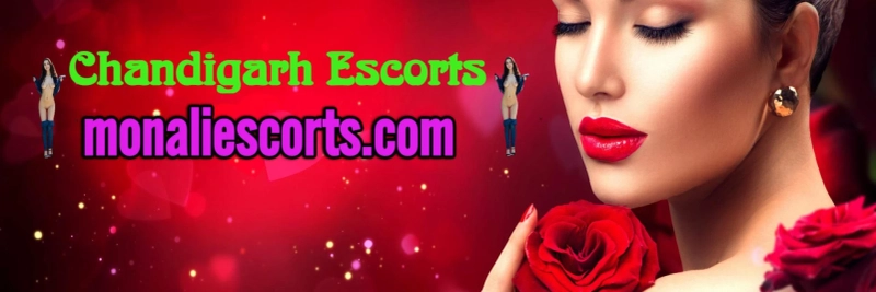 Thank you for your dream sex flight with Chandigarh Escorts call girl 