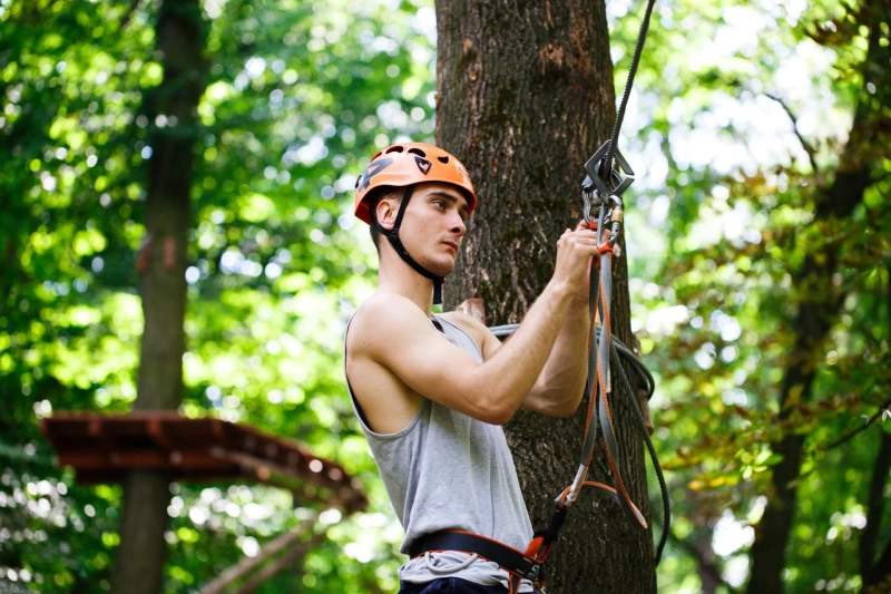 What Makes Professional Tree Services Worth the Investment?