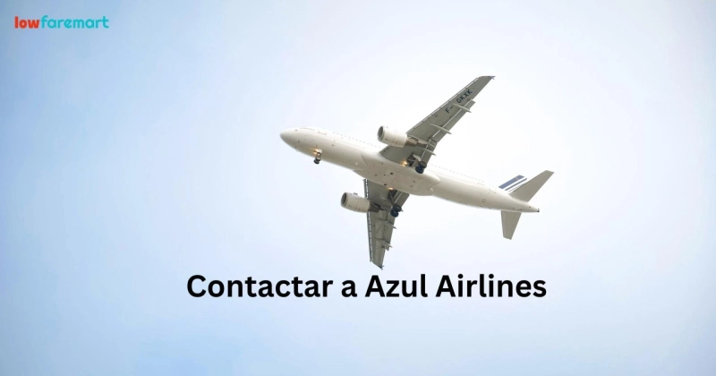 ¿Cómo puedo contactar con Azul Airlines? 