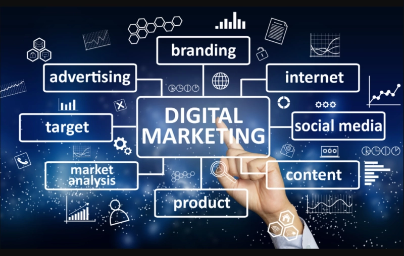 White Label Digital Marketing NZ: Empowering Agencies to Scale Smartly