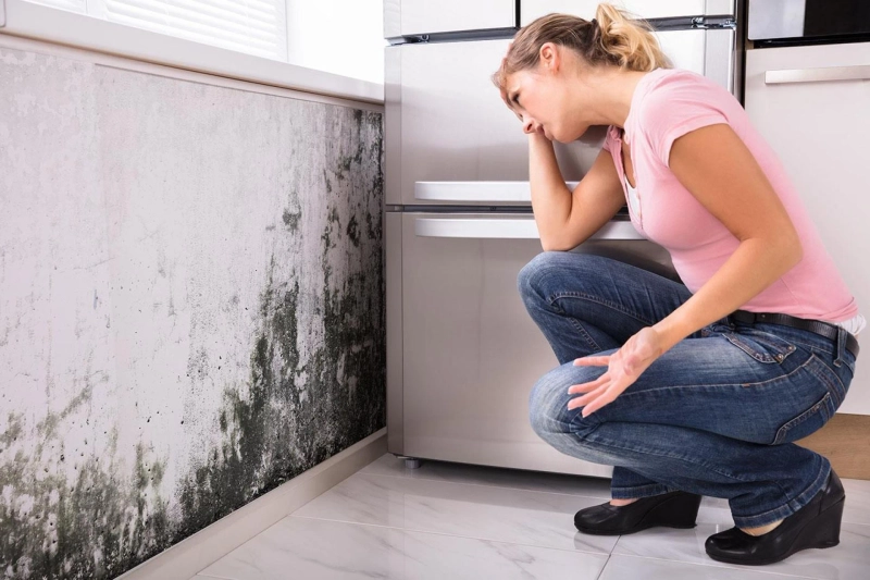Housing Disrepair Claims - How to Make a Housing Disrepair Claim