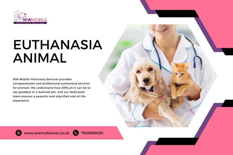 Understanding Euthanasia Animals: A Guide for Pet Guardians