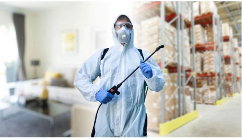 Top Health and Hygiene Risks: Why Pest Control is a Medical Necessity