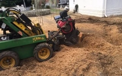 Unearthing the Perks of Stump Removal South Brisbane
