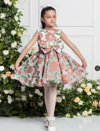 Top 10 Princess Dress Styles Every Girl Will Love in 2025
