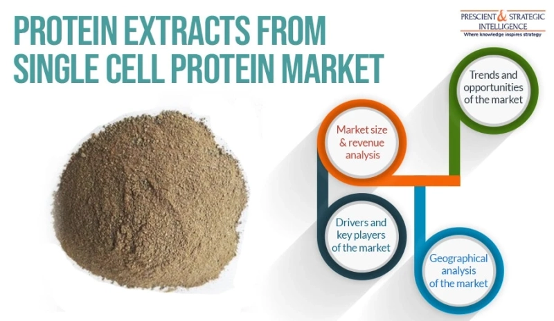 How is COVID-19 Pandemic Affecting Protein Extracts from Single Cell Protein Sources Market?