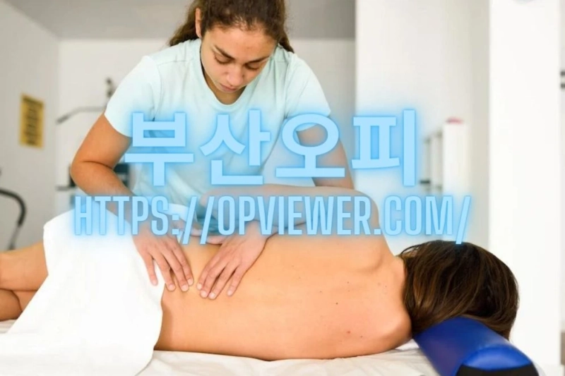Convention for the portion reaction assessment and investigation of back rub preliminary
