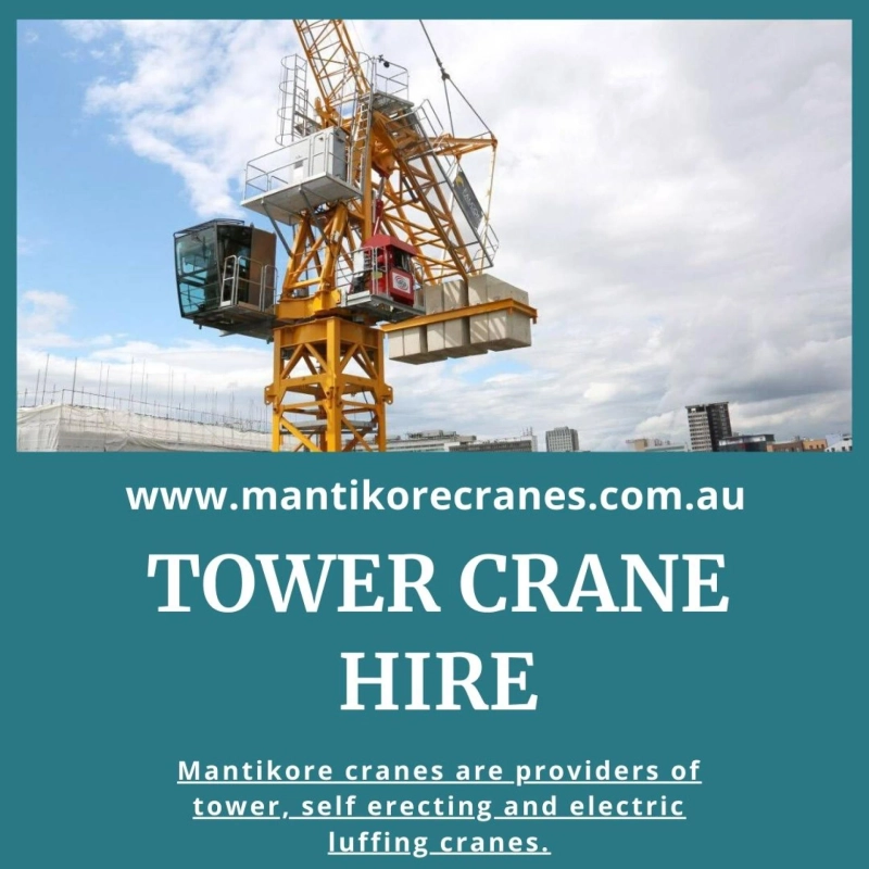 Lookouts you should go for with tower crane hire companies.
