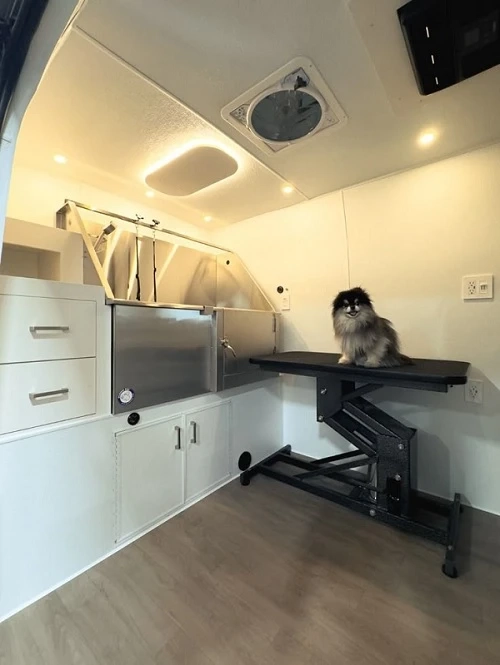 Complete Guide to Modern Pet Spa Care in Fishhawk