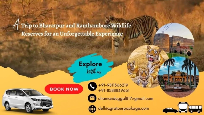 A Trip to Bharatpur and Ranthambore Wildlife Reserves for an Unforgettable Experience