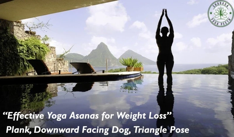 Effective Yoga Asanas for Weight Loss