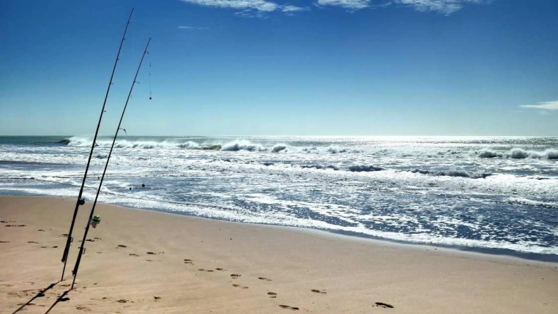 How to Choose the Best RC Bait Boat for Surf Fishing (Without Wasting Money)