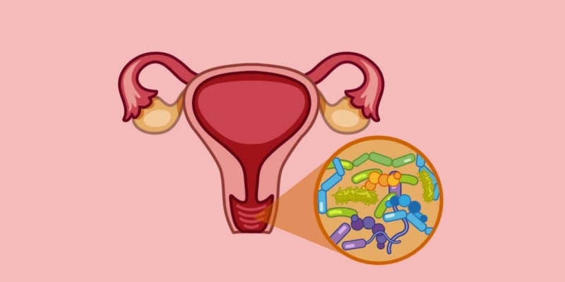 The Science Behind Acute Vulvovaginal Candidiasis Treatment: Exploring Your Options