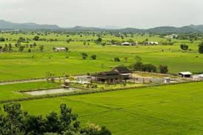Sustainability and Stewardship in Managed Farmland For Sale