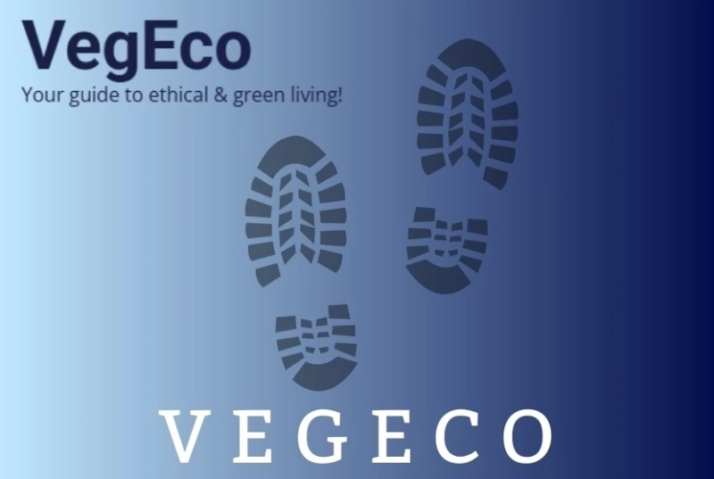 Discover the Eco-Friendly Solutions from Vegeco